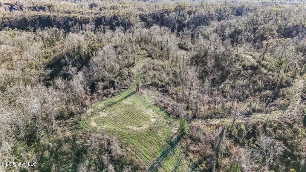200 Robert Williams Road Property Photo 25
