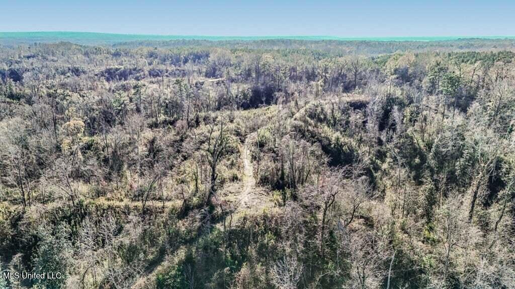 200 Robert Williams Road Property Photo 28