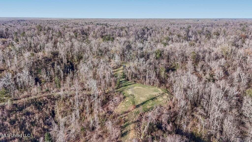 200 Robert Williams Road Property Photo 30