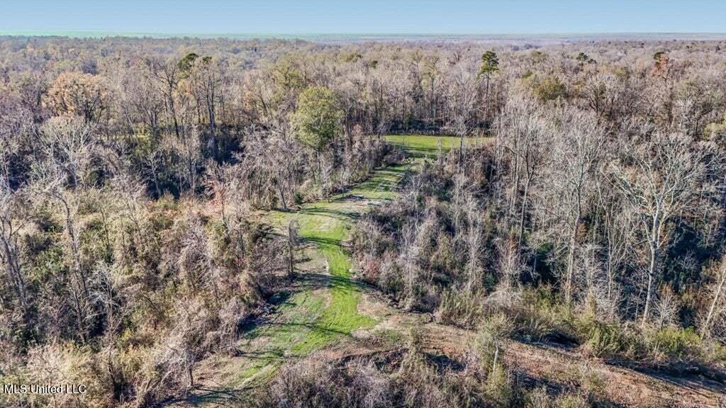 200 Robert Williams Road Property Photo 31
