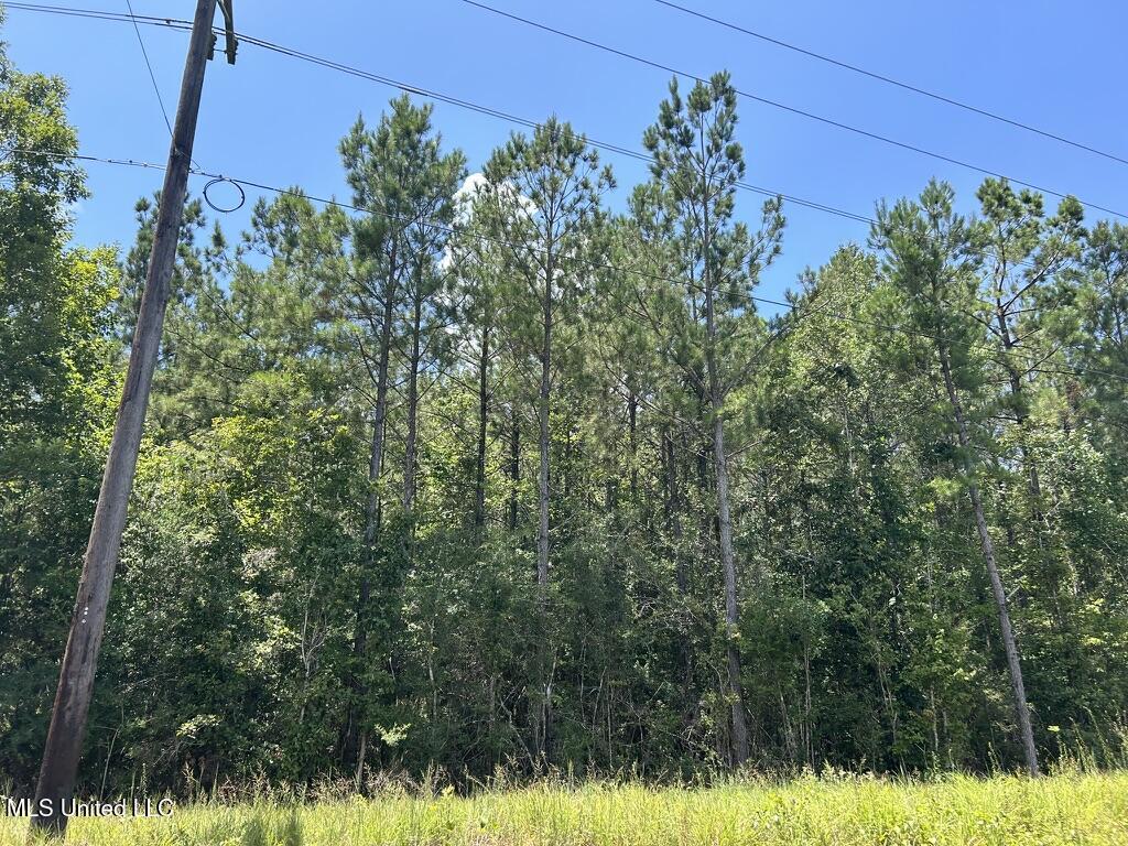 Tbd Hwy 570/river Road N And S Property Photo 3
