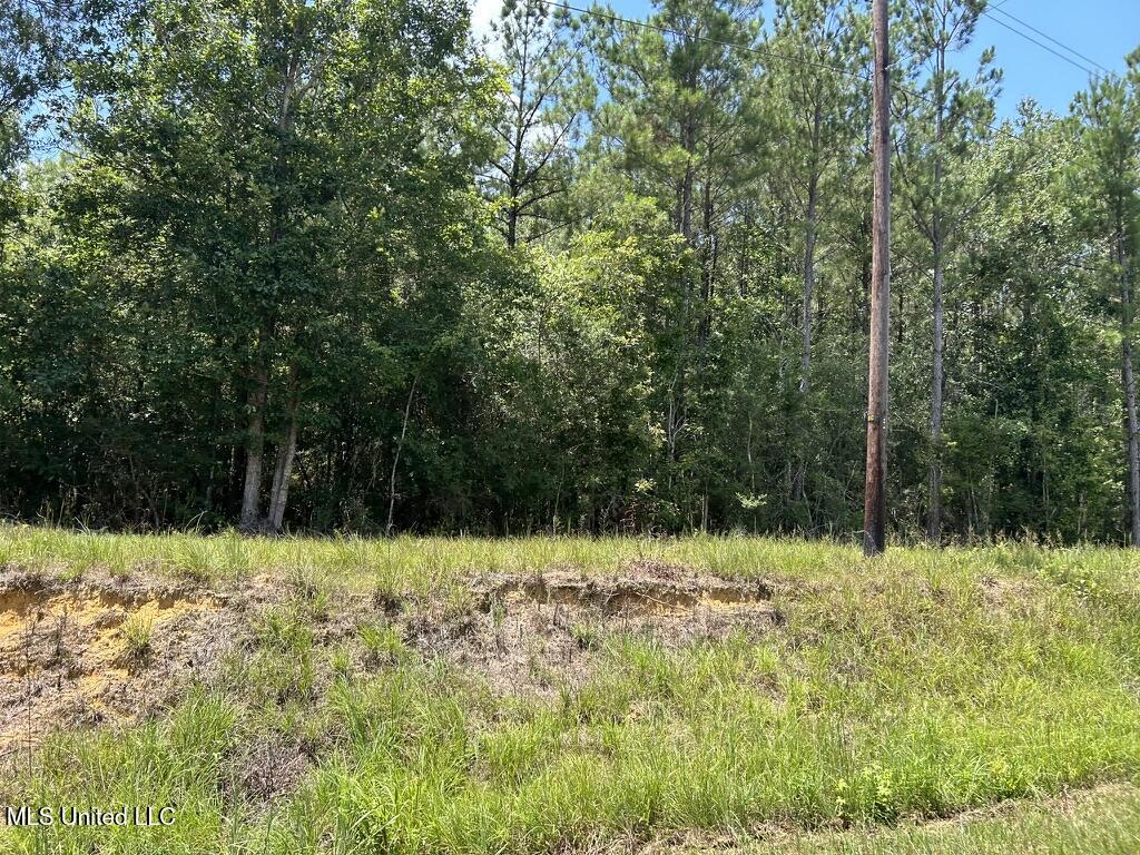 Tbd Hwy 570/river Road N And S Property Photo 4