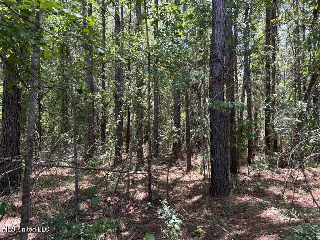 Tbd Hwy 570/river Road N And S Property Photo 5