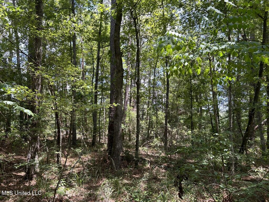 Tbd Hwy 570/river Road N And S Property Photo 6