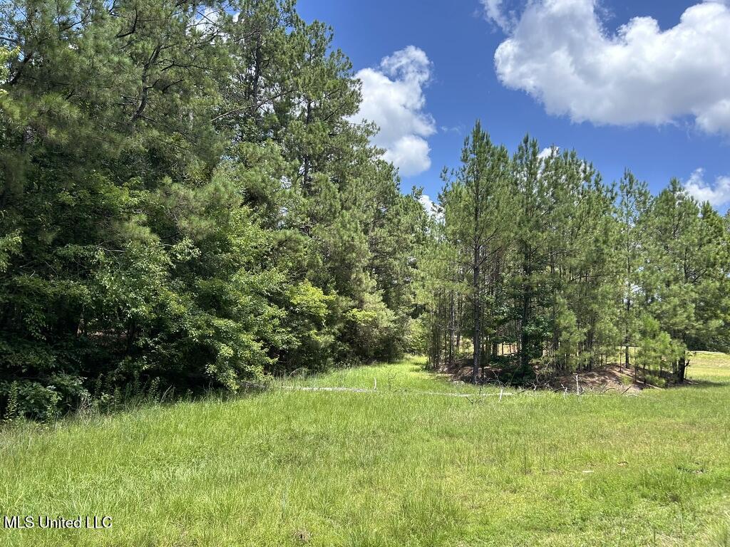 Tbd Hwy 570/river Road N And S Property Photo 7