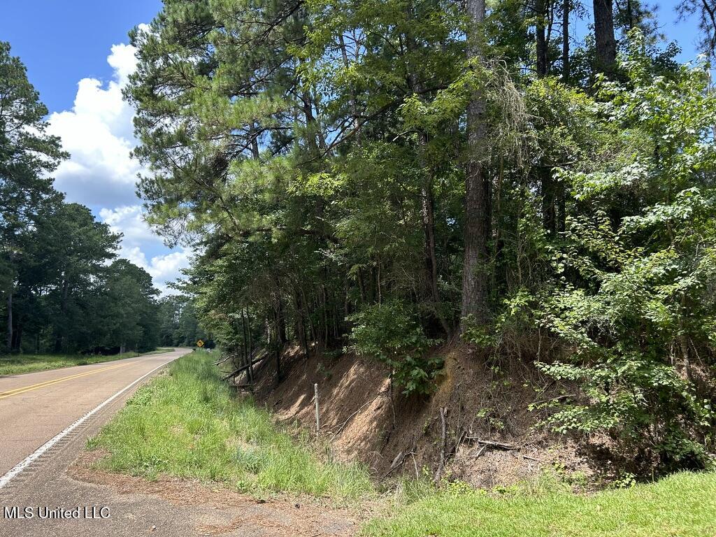 Tbd Hwy 570/river Road N And S Property Photo 9