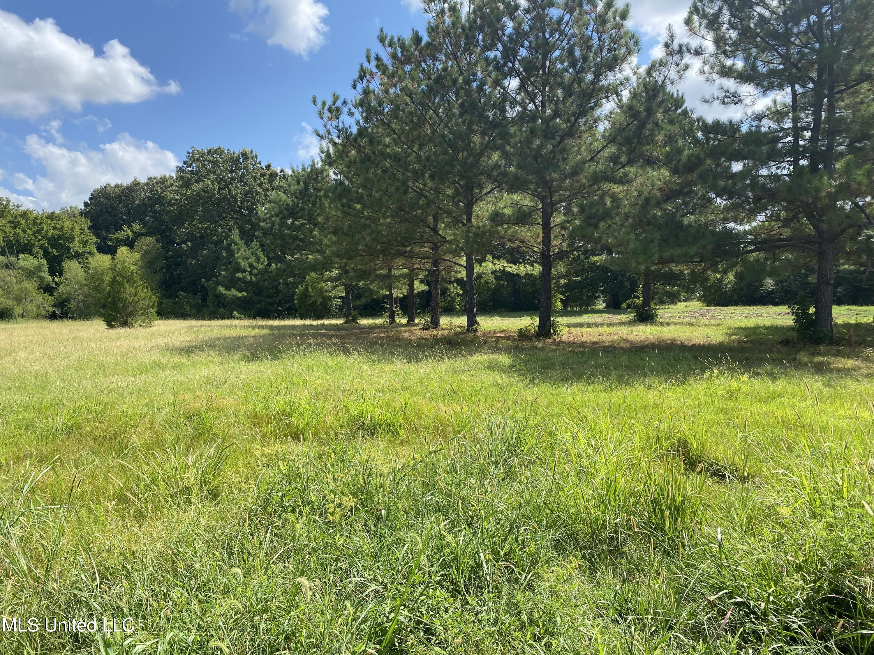 6826 Payne Lane Property Photo 4