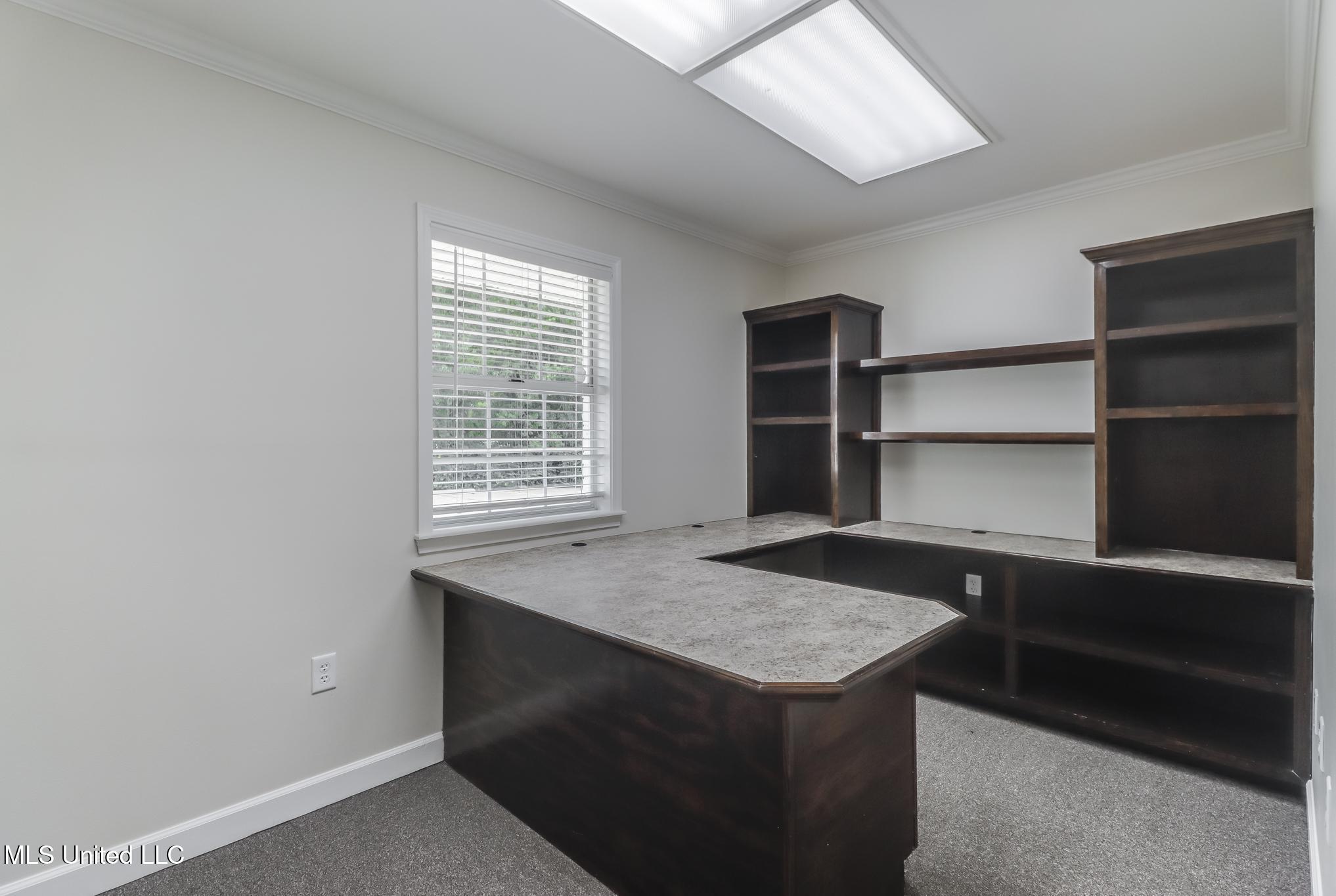 831 Highway 90 Property Photo 13