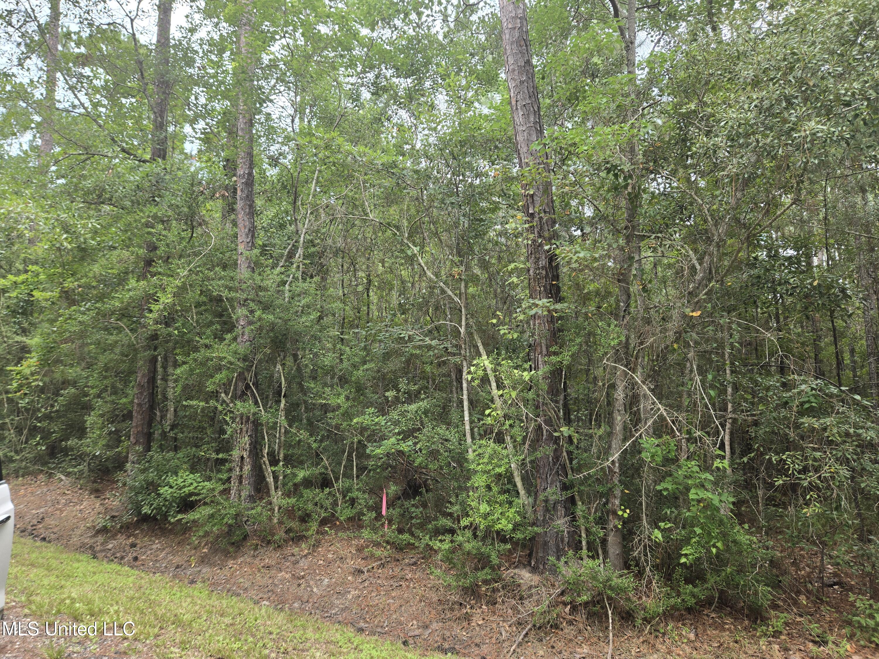 4010 Tenth Street Property Photo 4