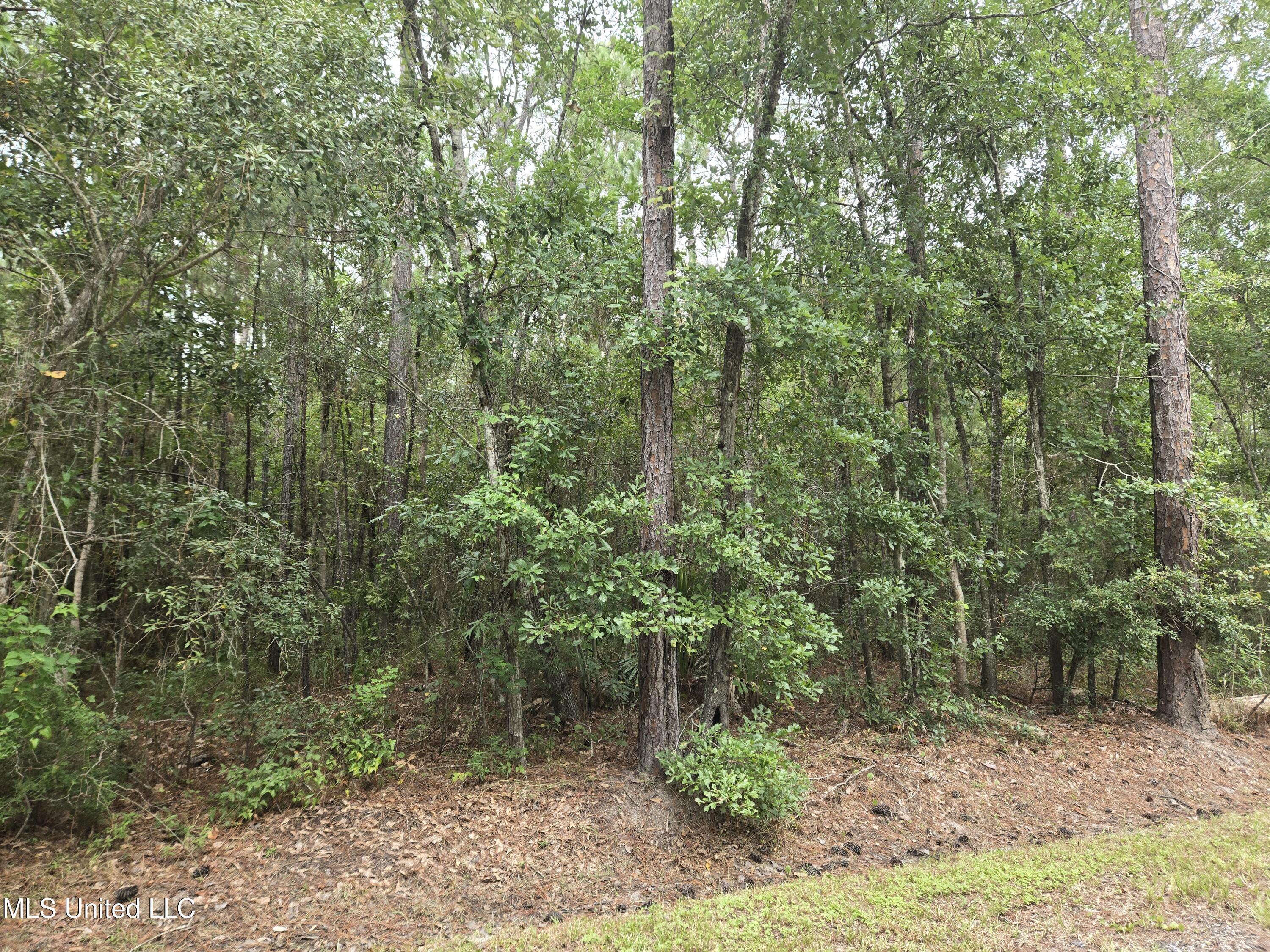 4010 Tenth Street Property Photo 5