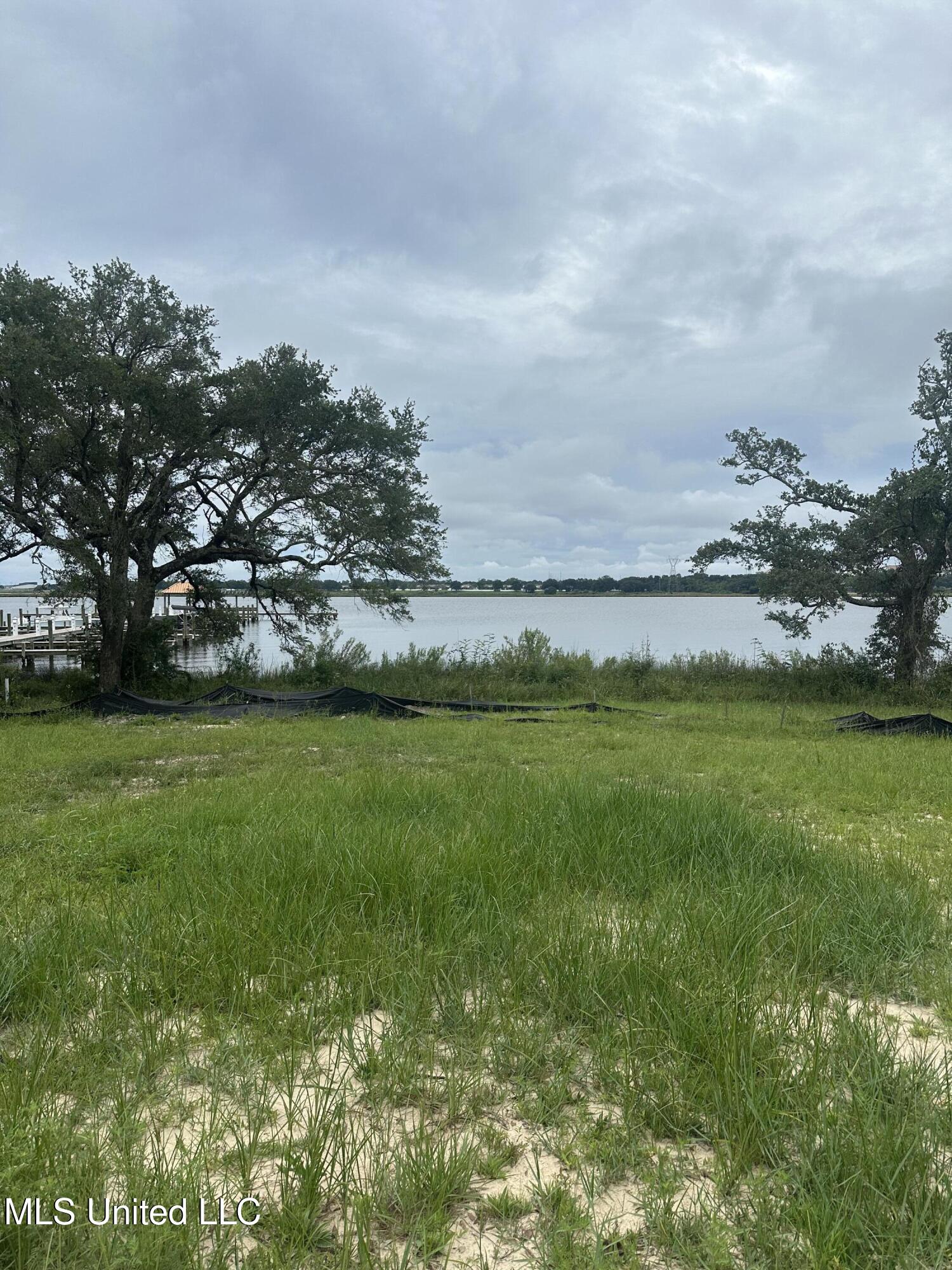 Savannah Estates Boulevard Property Photo 1