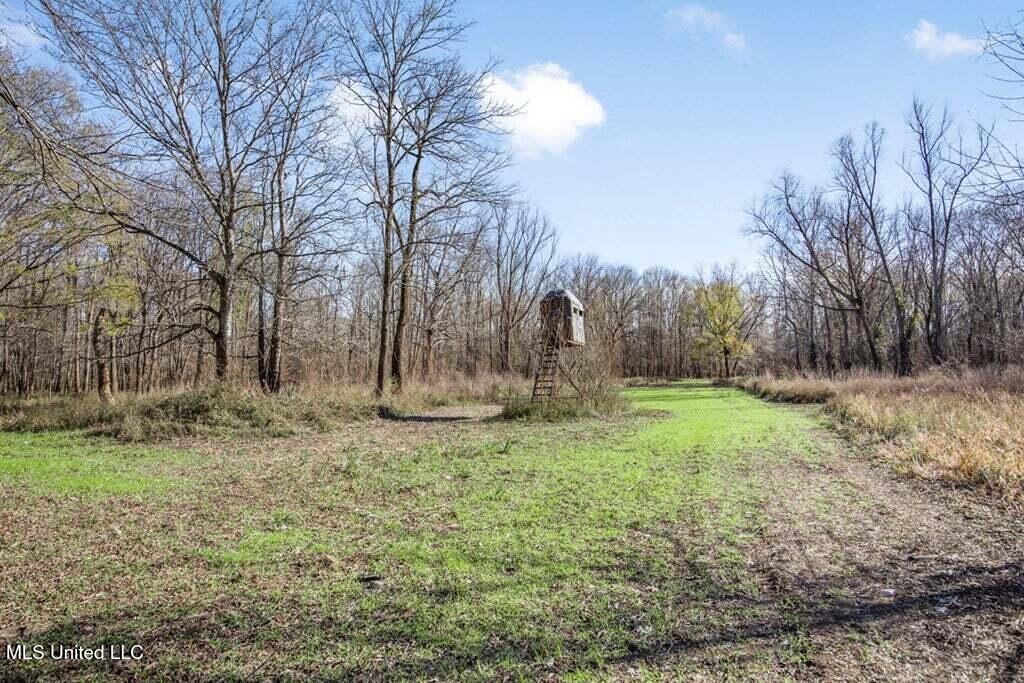 1 Rodney Bend Road Property Photo 5