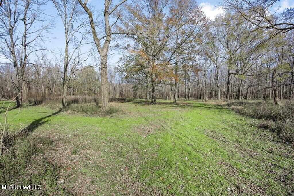 1 Rodney Bend Road Property Photo 6