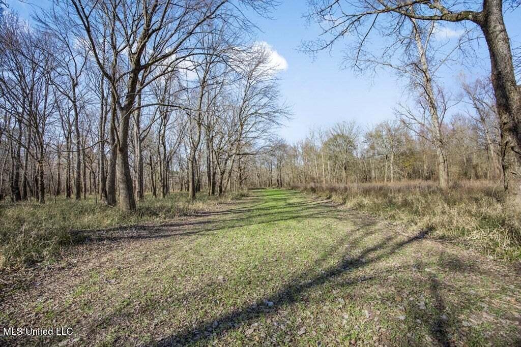1 Rodney Bend Road Property Photo 7