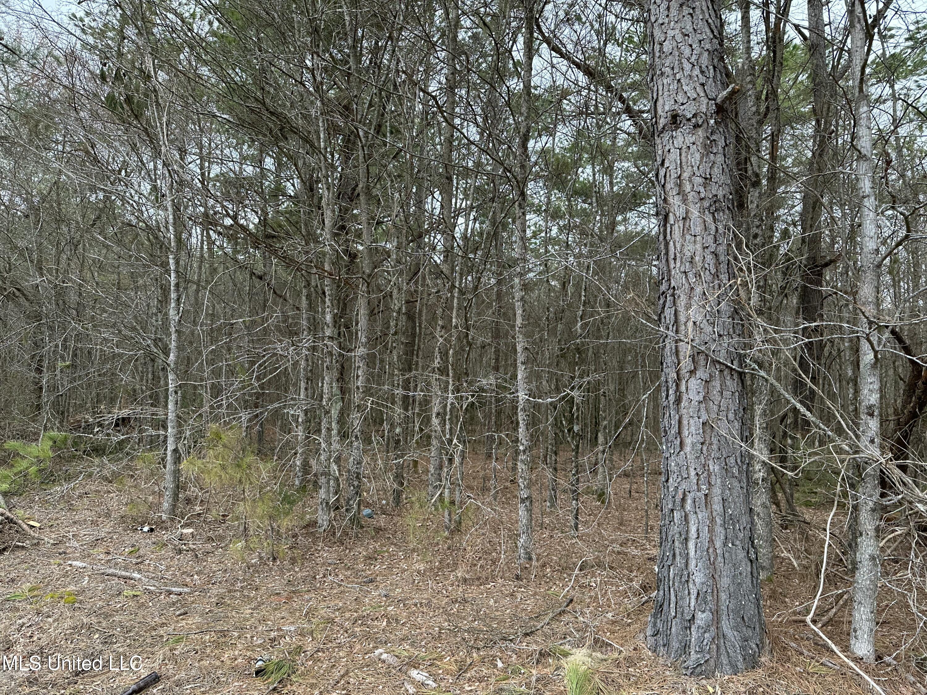 Old 4 Highway Property Photo 3