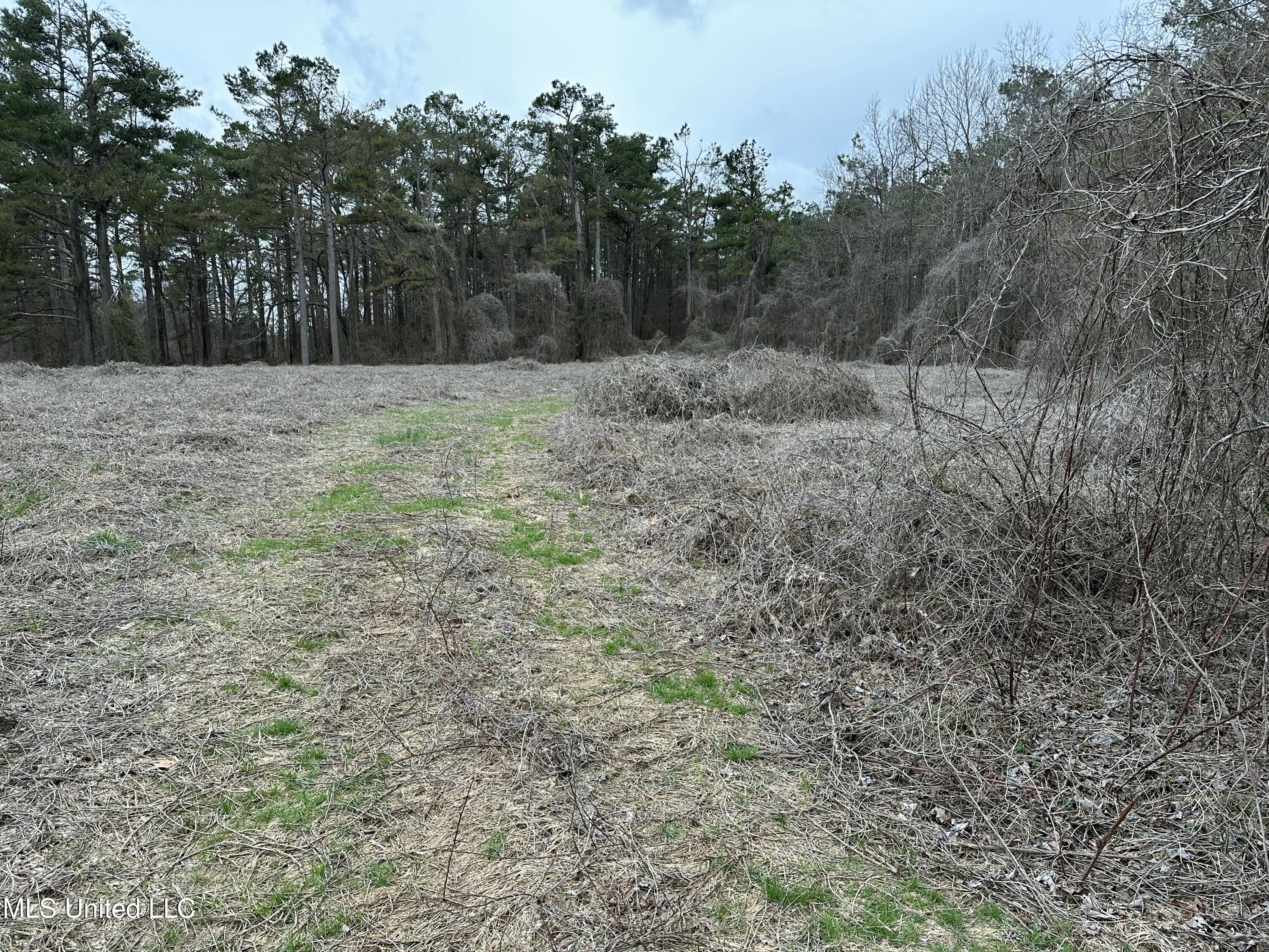 Old 4 Highway Property Photo 4