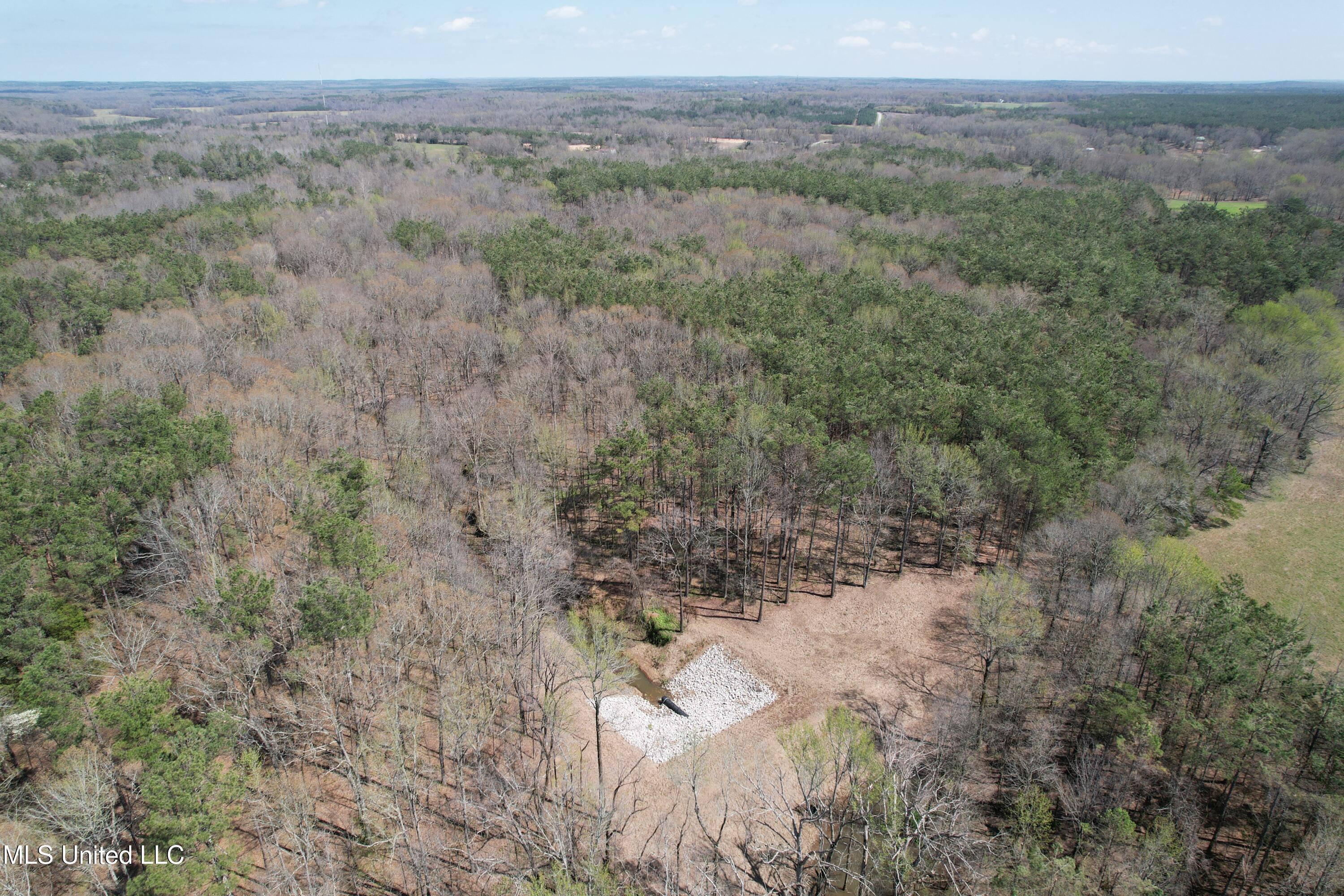 Old 4 Highway Property Photo 5