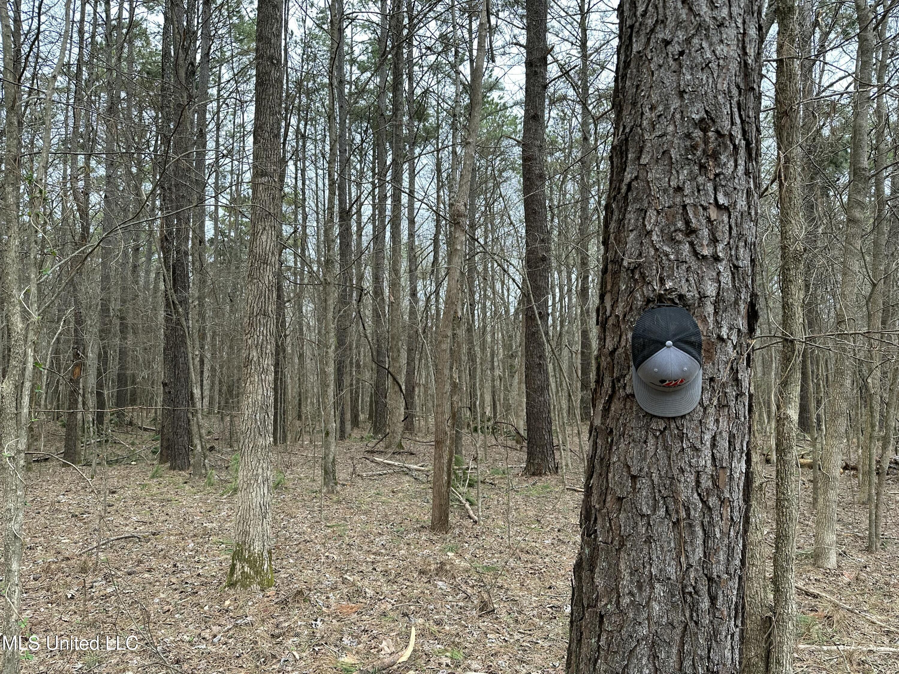 Old 4 Highway Property Photo 6