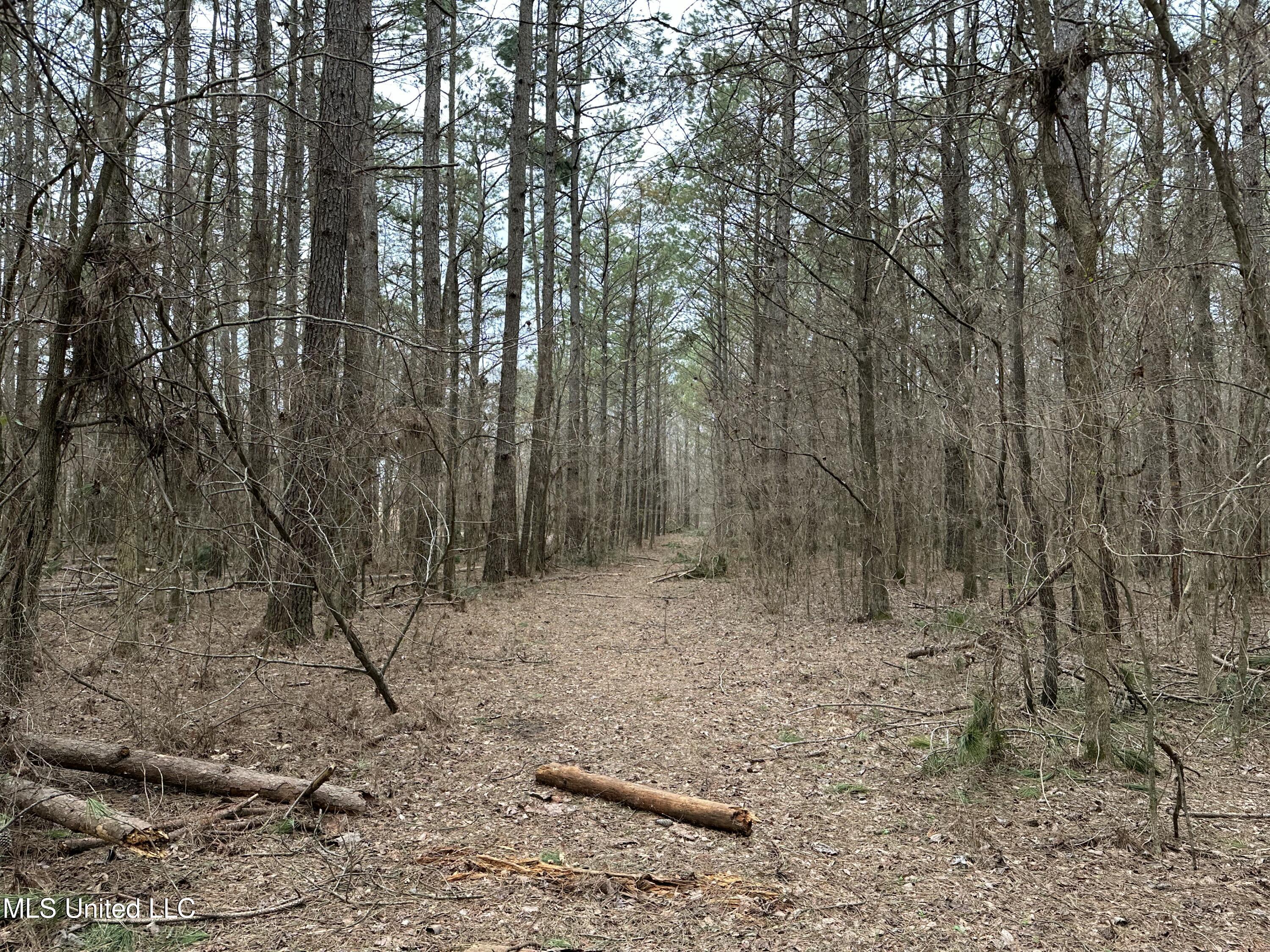 Old 4 Highway Property Photo 7