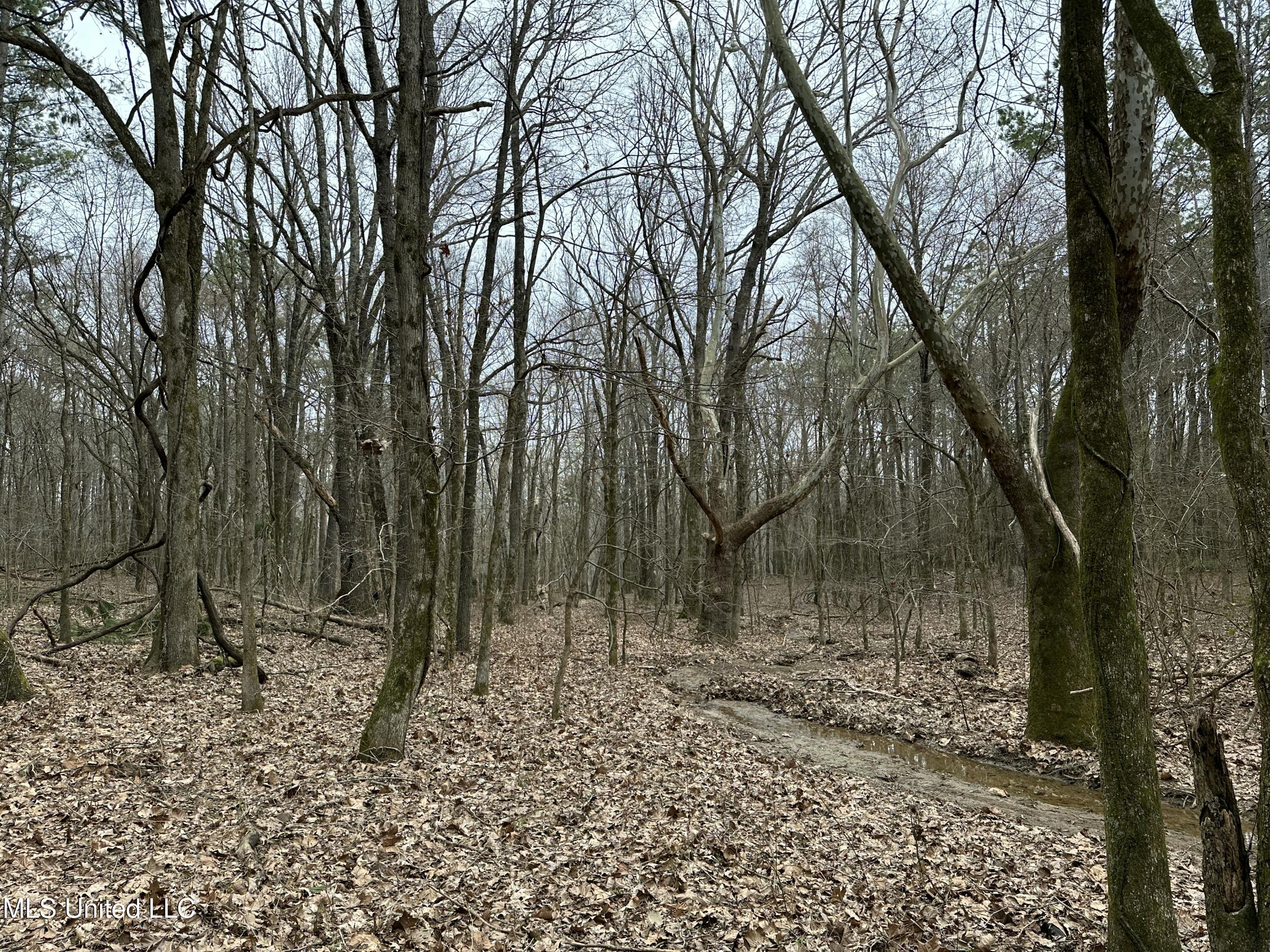 Old 4 Highway Property Photo 8