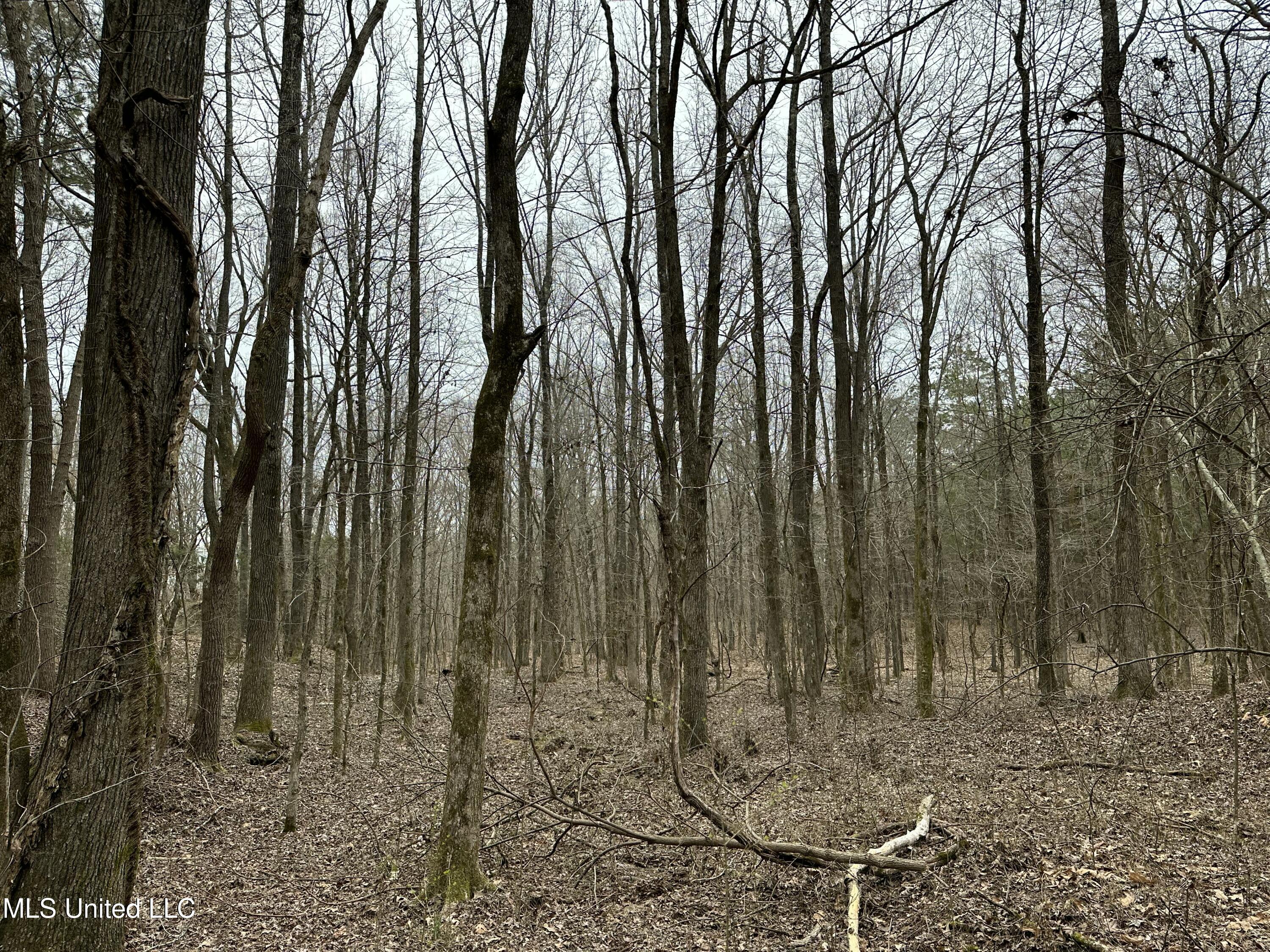 Old 4 Highway Property Photo 9