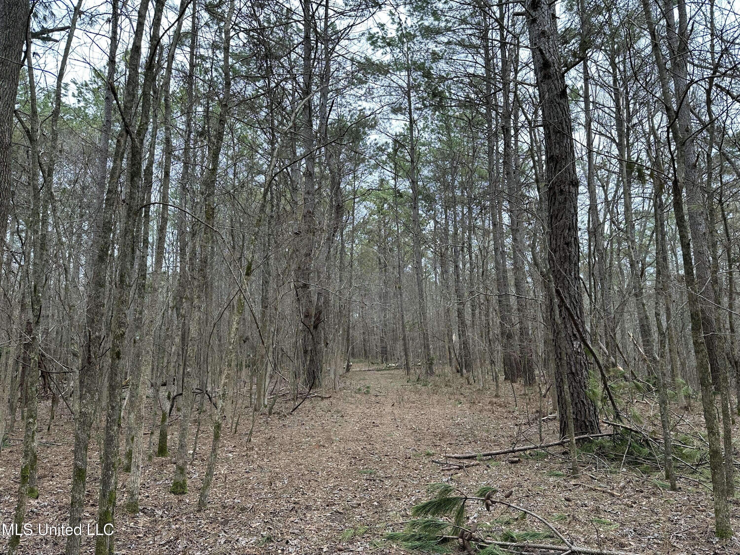 Old 4 Highway Property Photo 10