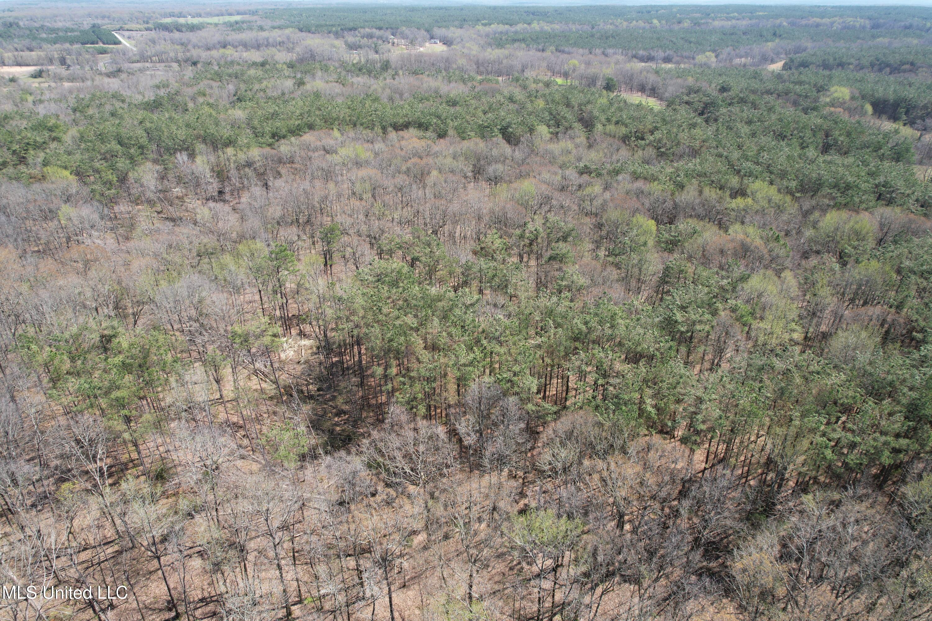 Old 4 Highway Property Photo 13