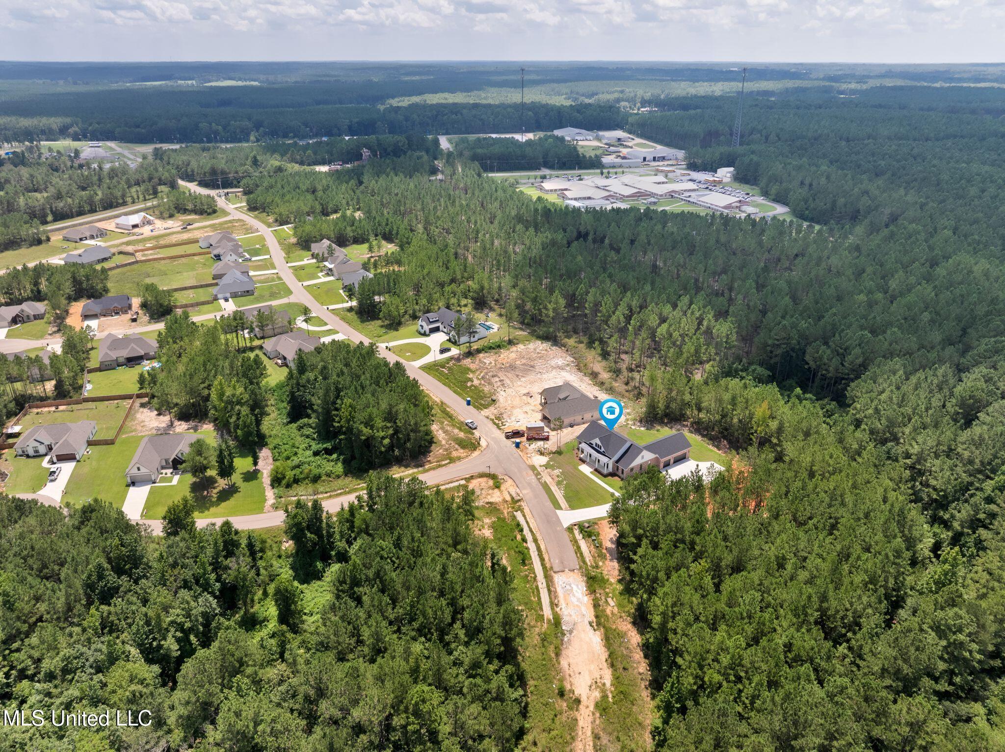 53 Pipestone Pass Property Photo 58