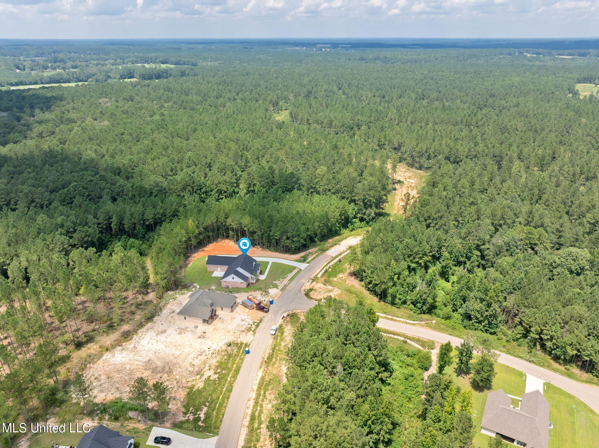 53 Pipestone Pass Property Photo 60