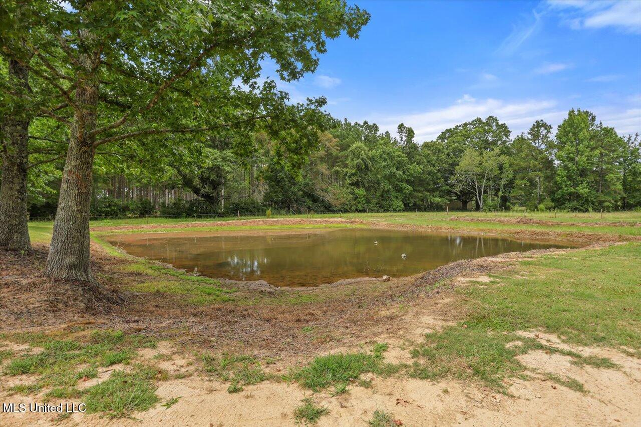 120 Anse Reed Road Property Photo 45