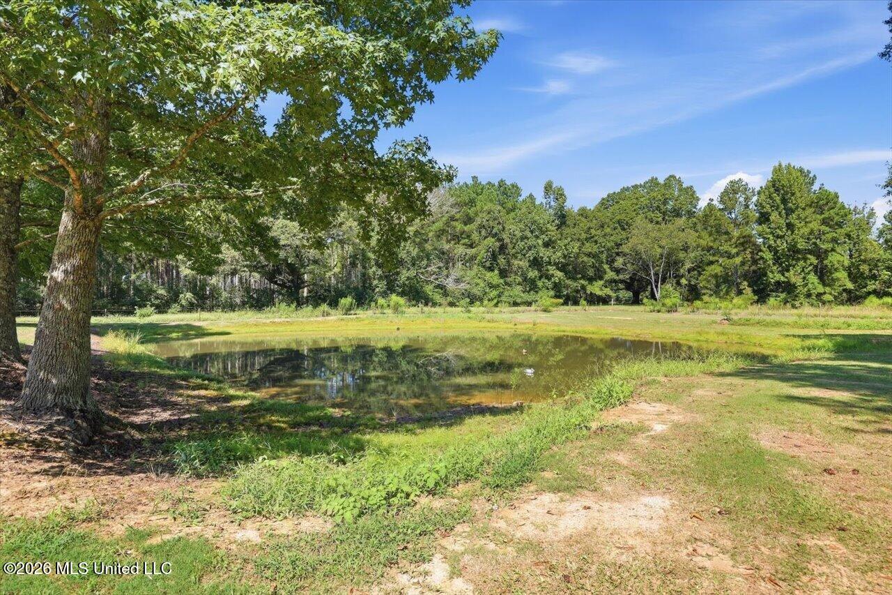 120 Anse Reed Road Property Photo 53