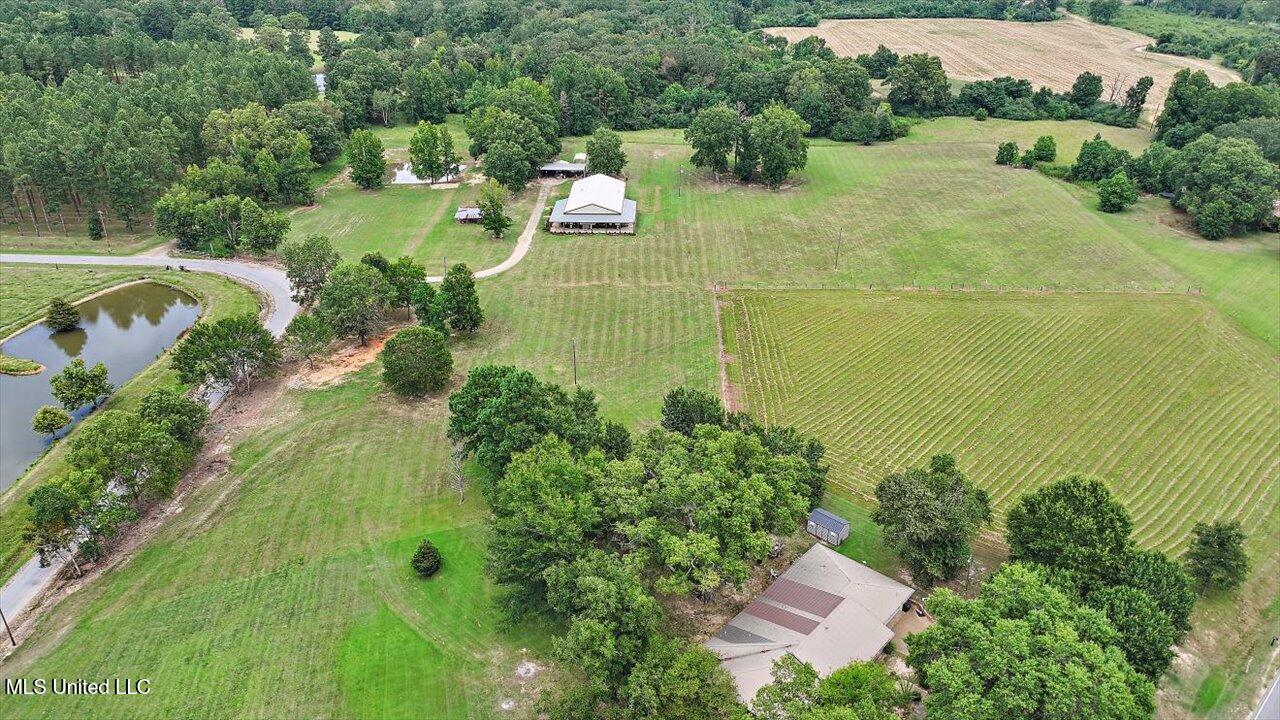 120 Anse Reed Road Property Photo 63