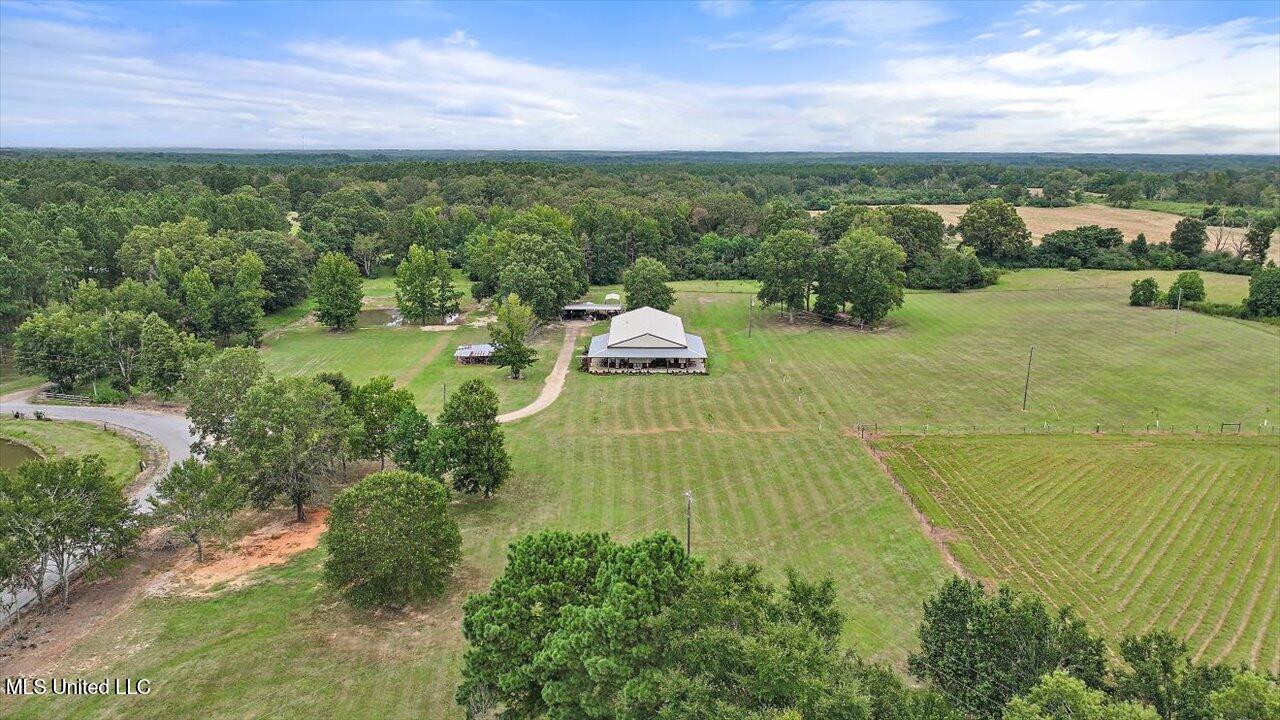 120 Anse Reed Road Property Photo 69