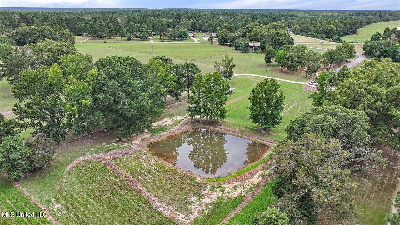 120 Anse Reed Road Property Photo 81