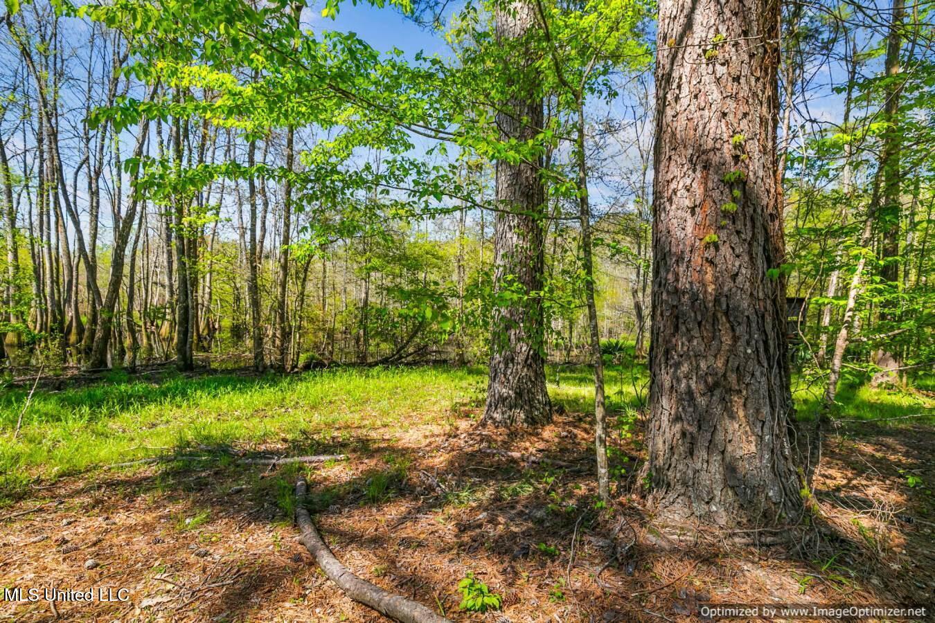21959 Hwy 80 Property Photo 2