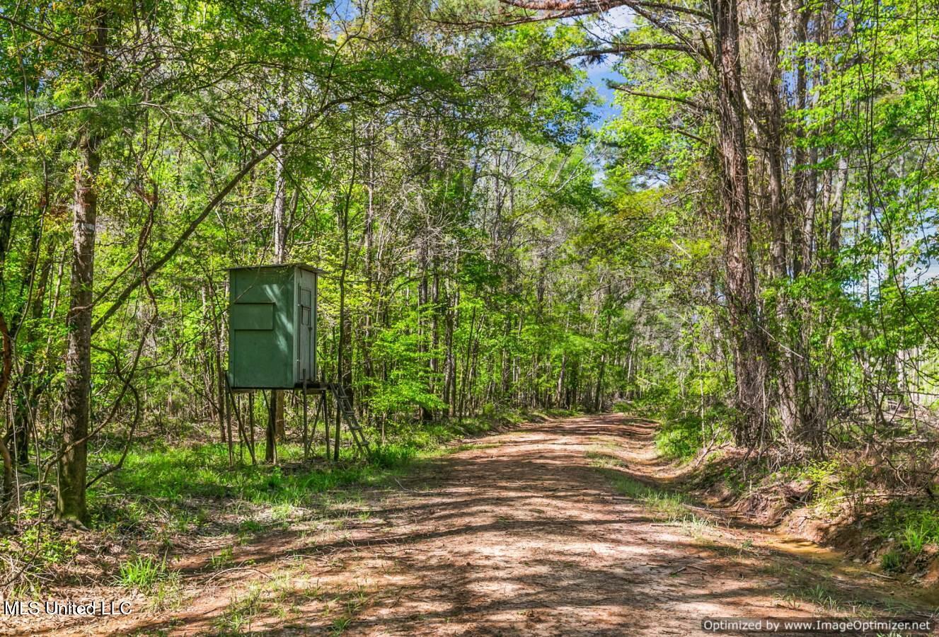 21959 Hwy 80 Property Photo 5