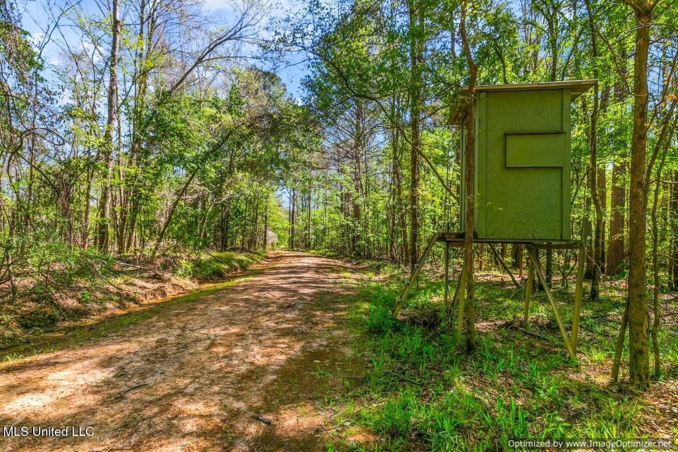 21959 Hwy 80 Property Photo 6