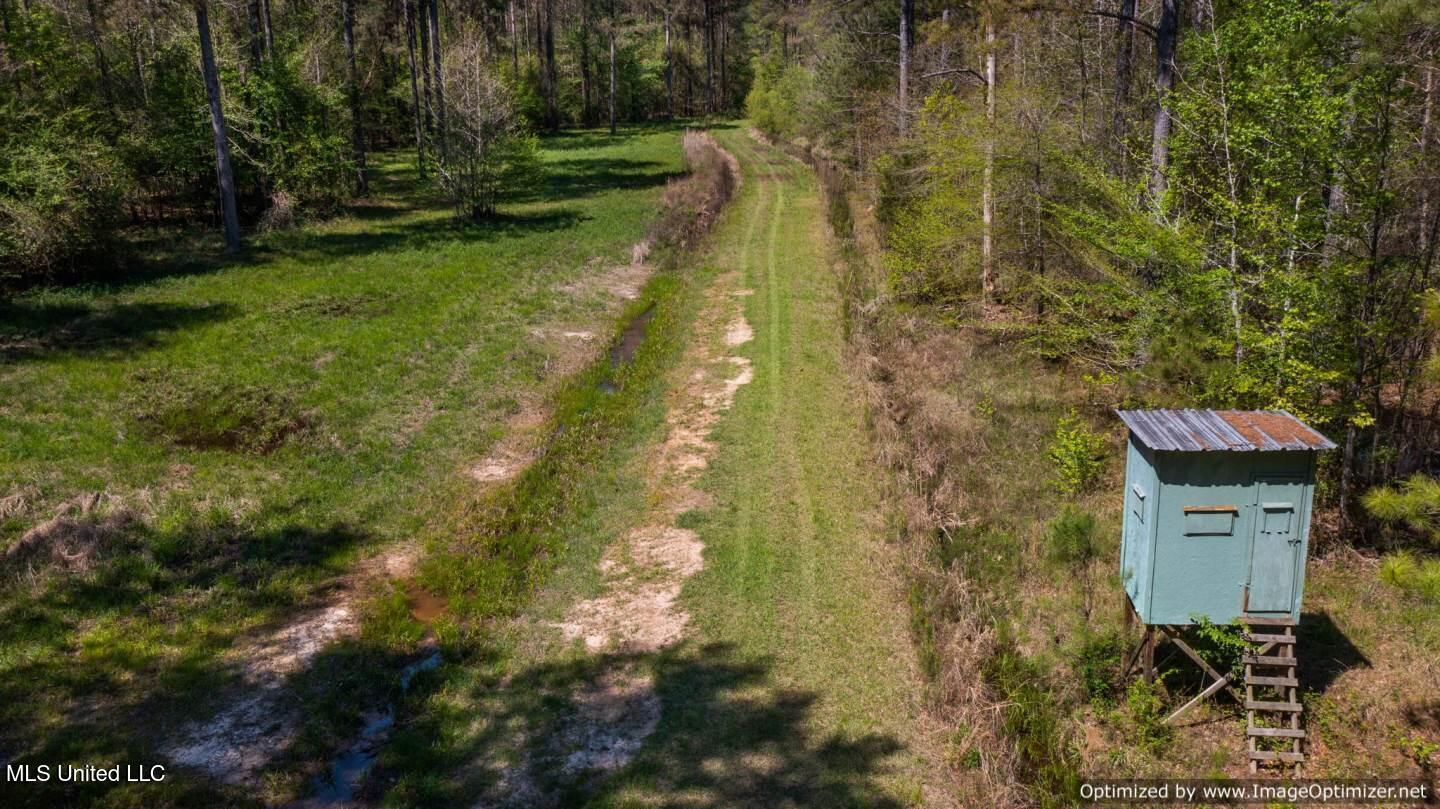 21959 Hwy 80 Property Photo 8