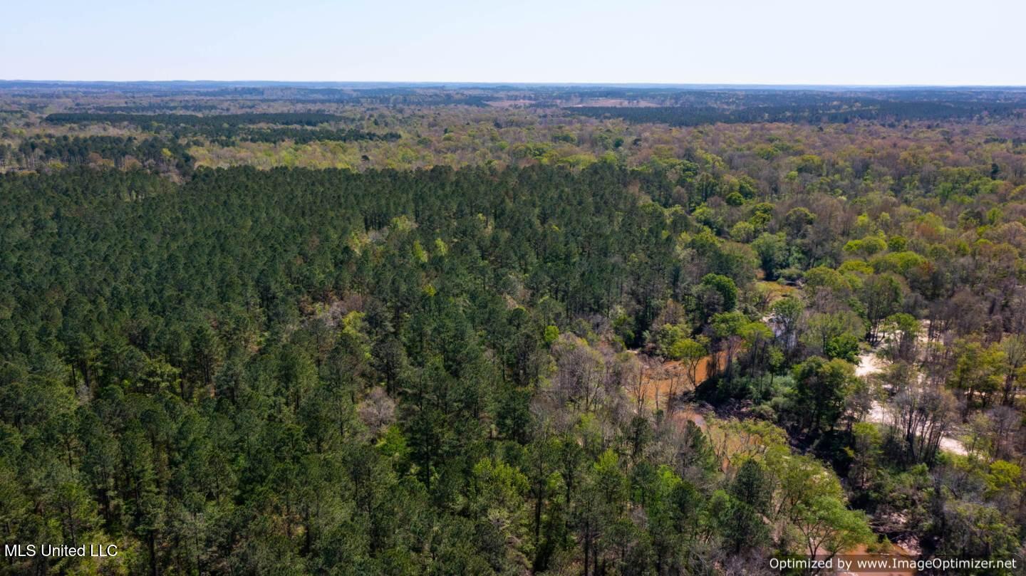 21959 Hwy 80 Property Photo 12