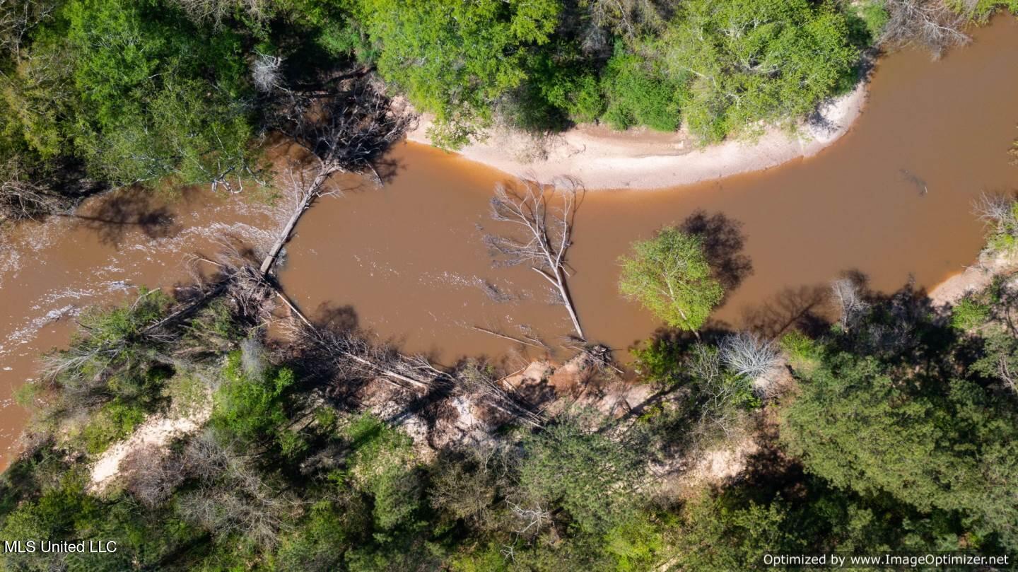 21959 Hwy 80 Property Photo 13