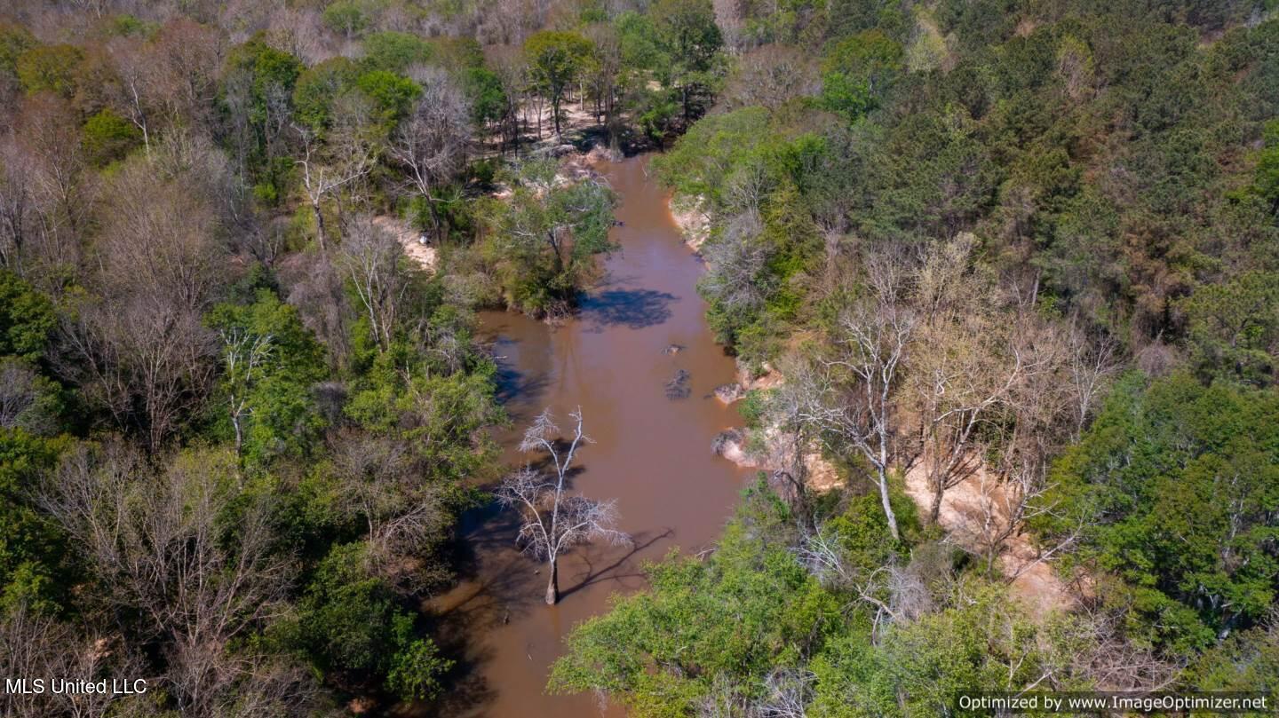 21959 Hwy 80 Property Photo 15