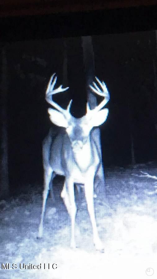 21959 Hwy 80 Property Photo 16