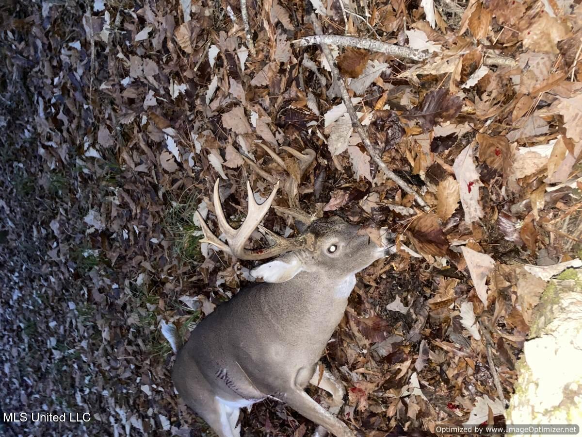 21959 Hwy 80 Property Photo 18