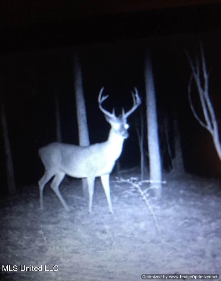 21959 Hwy 80 Property Photo 19