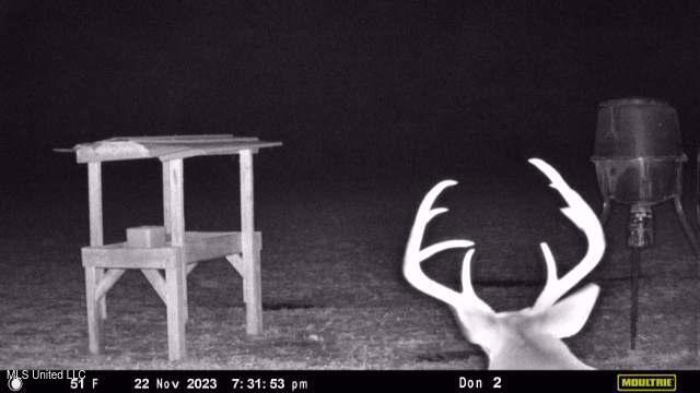 21959 Hwy 80 Property Photo 21