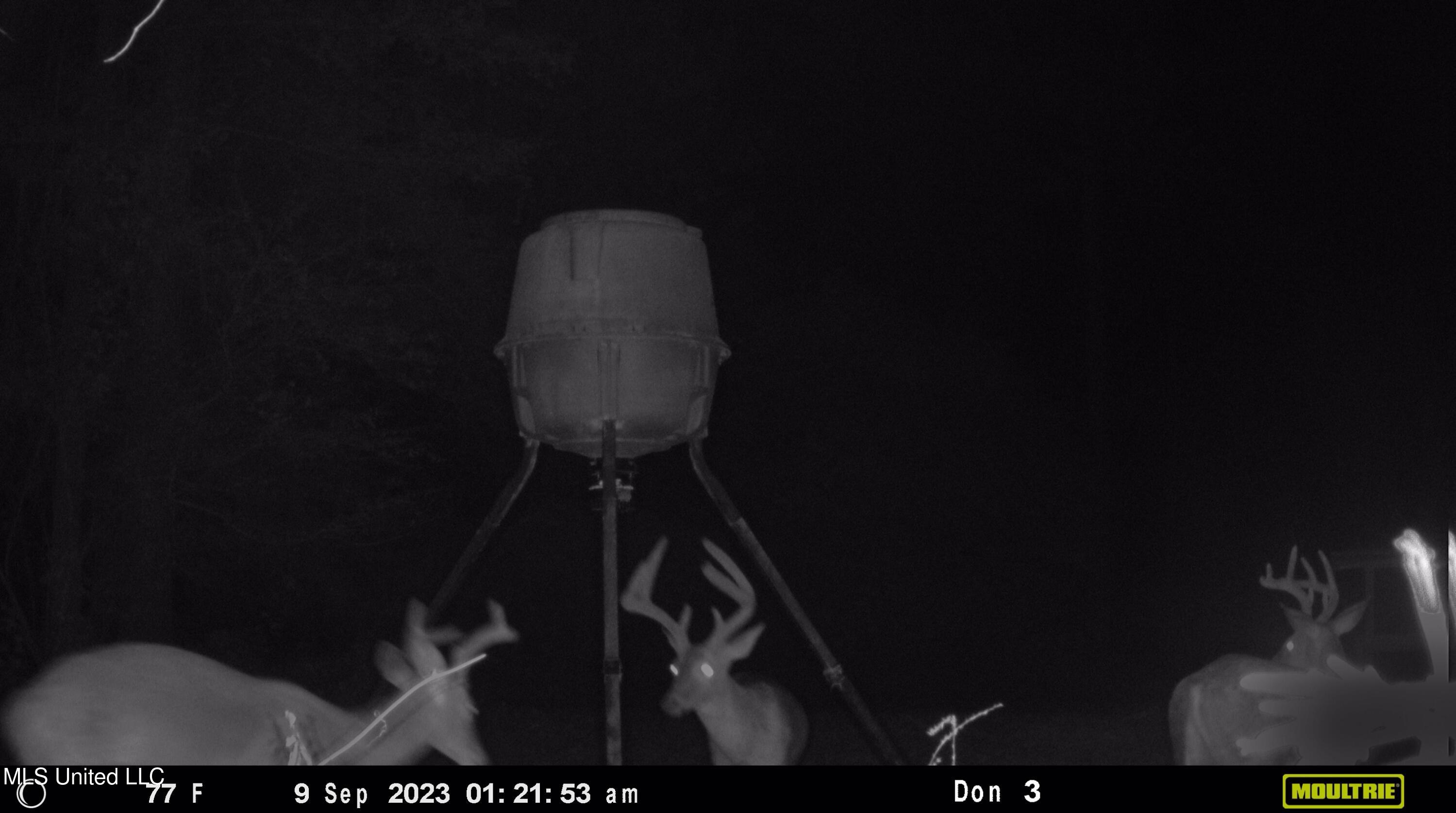 21959 Hwy 80 Property Photo 22