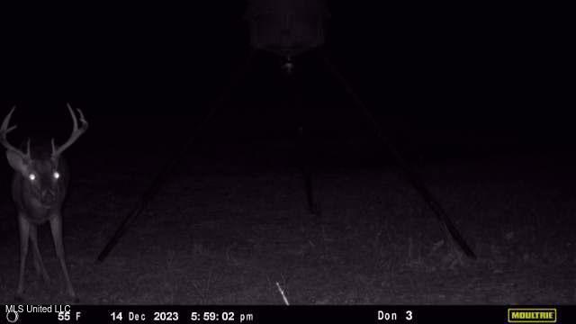 21959 Hwy 80 Property Photo 23