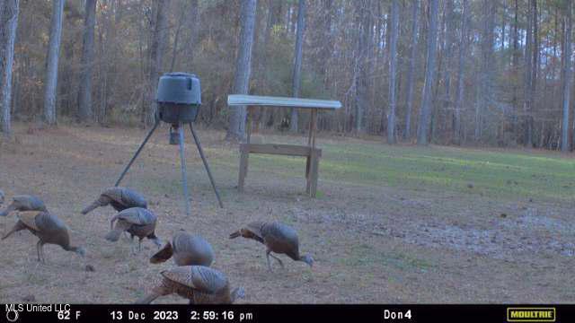 21959 Hwy 80 Property Photo 24