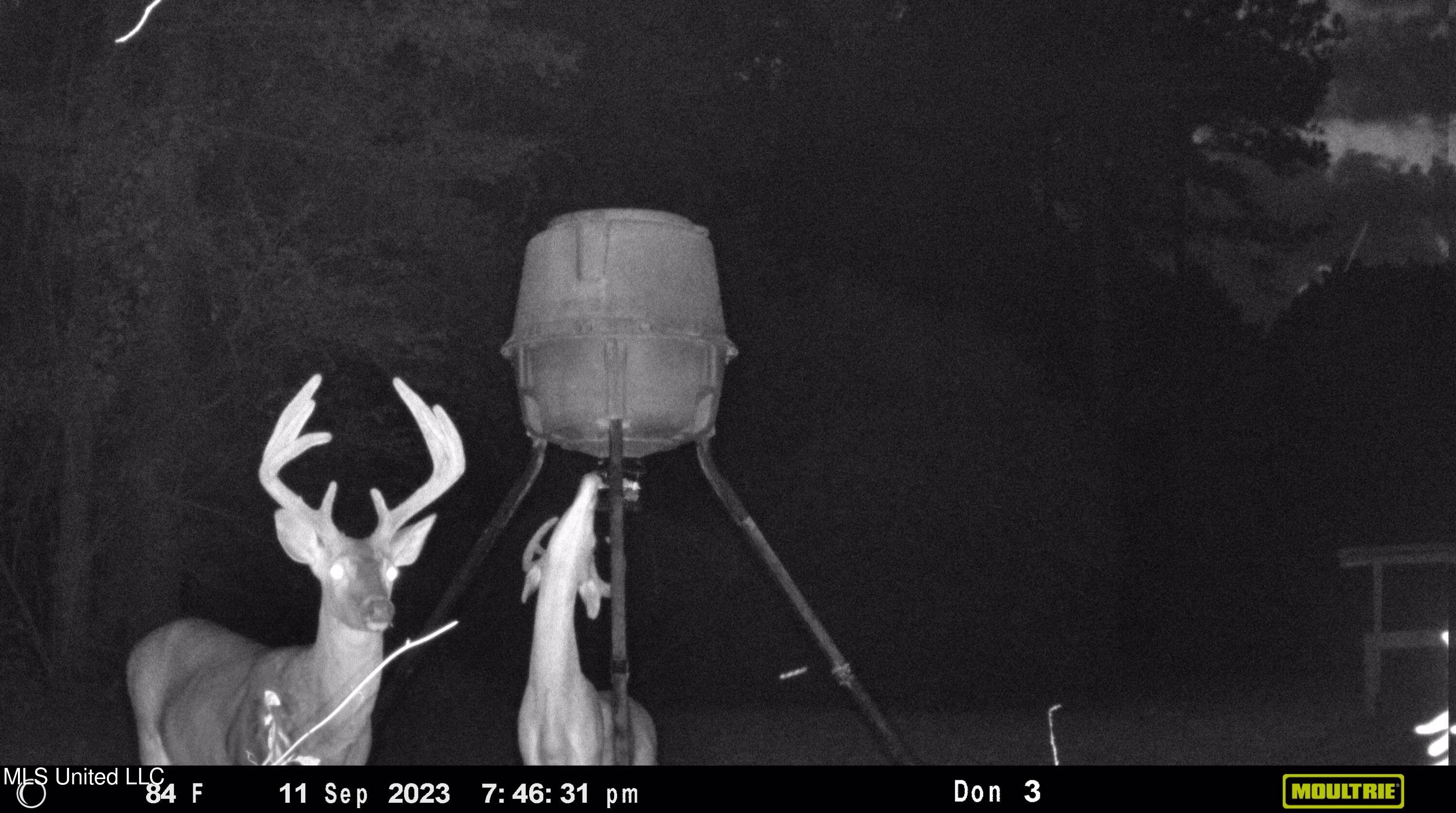 21959 Hwy 80 Property Photo 25