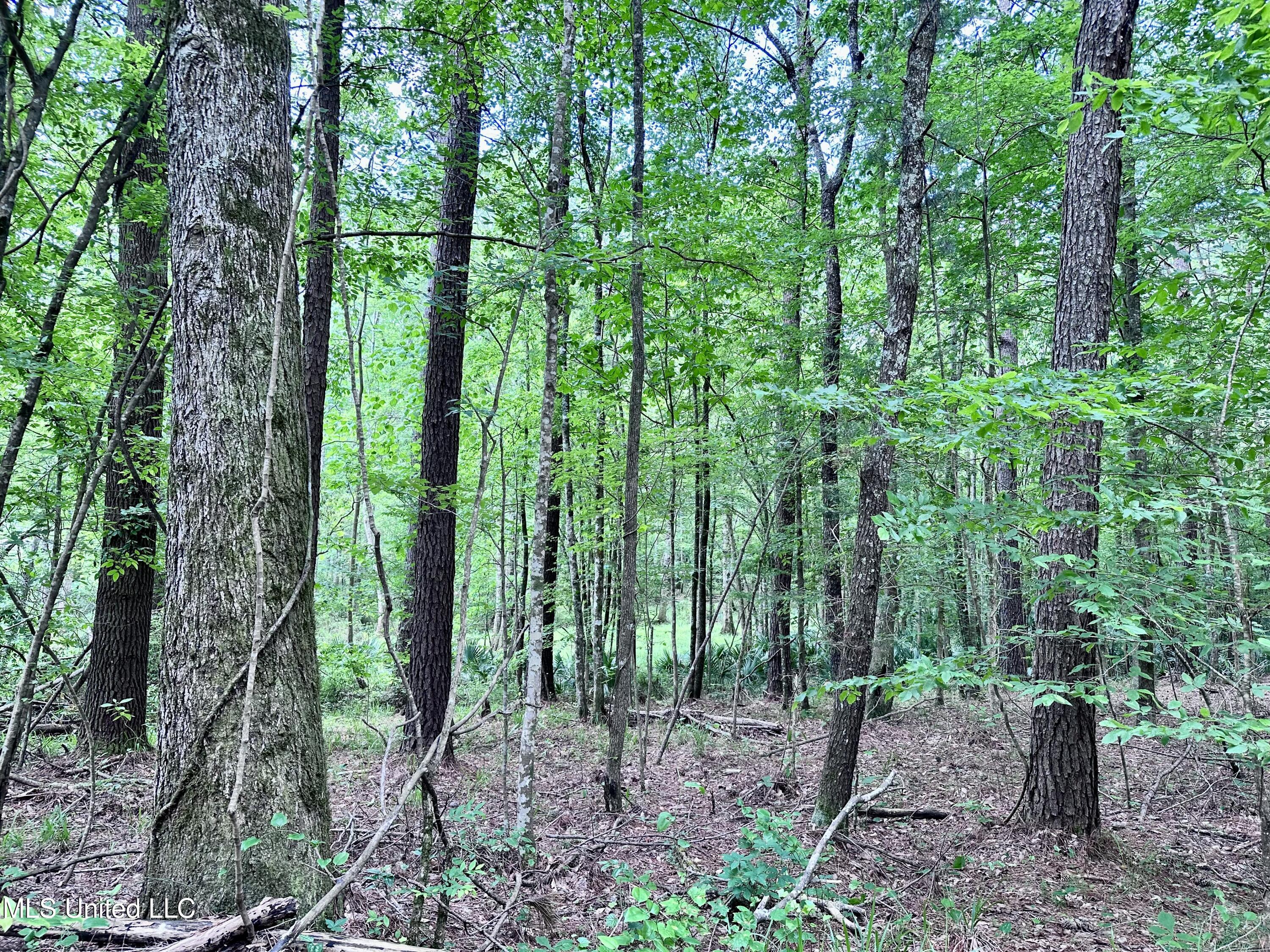 21959 Hwy 80 Property Photo 27